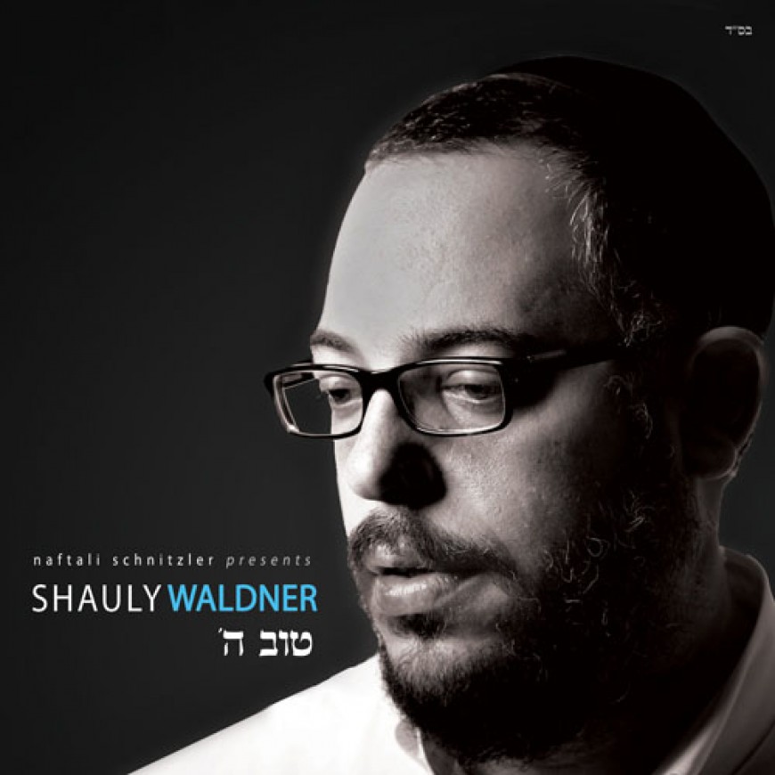 Shauly Waldner – Audio Preview & Pre Order