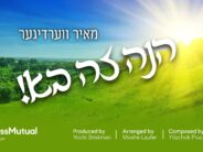 Mayer Werdyger With A New Uplifting Single: “Hinei Zeh Boh”