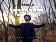 Singer Mendy Shapiro Releases Debut Single and Music Video: “Kivinu”